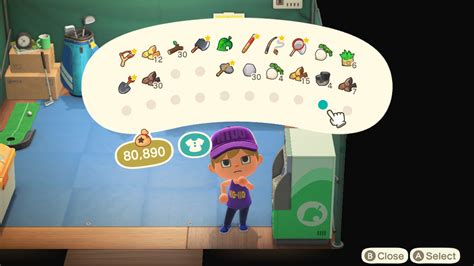 how to increase storage animal crossing